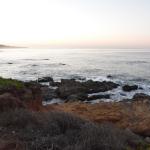 Cambria_0565 (November 02, 2013)